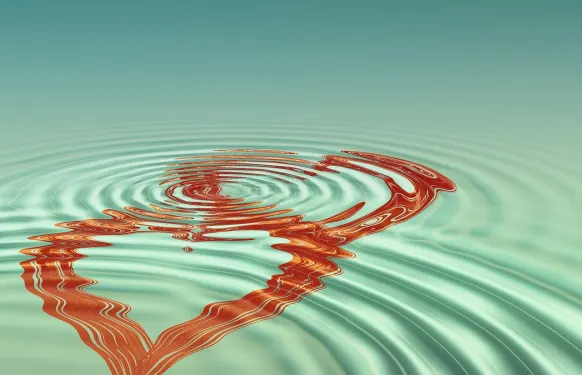 ארמדבט קזינו תמיכה